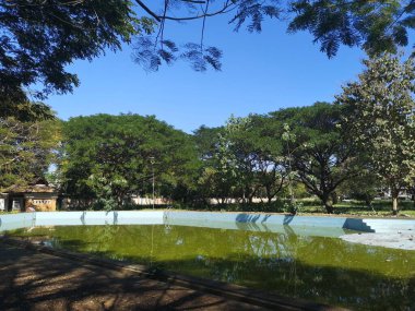 beautiful view of the abandoned park