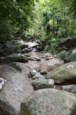 Chonburi Tayland 'daki ormanda güzel bir şelale.