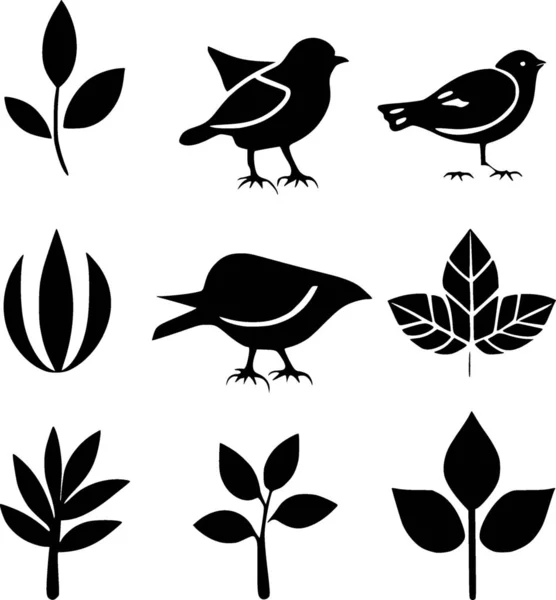 Set Ilustración Aves Naturaleza — Foto de Stock