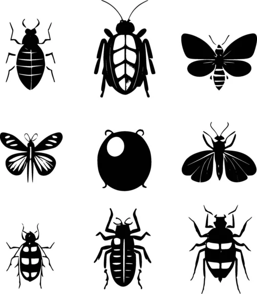 Illustratie Van Insecten Vliegen Symbool Verzameling Van Insecten Elementen Stambord — Stockfoto