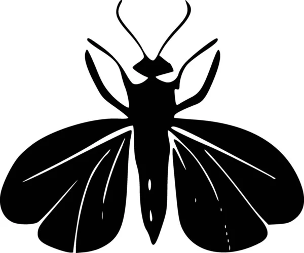 Ilustración Blanco Negro Insecto —  Fotos de Stock