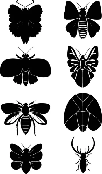 Set Van Insecten Pictogram Illustratie — Stockfoto