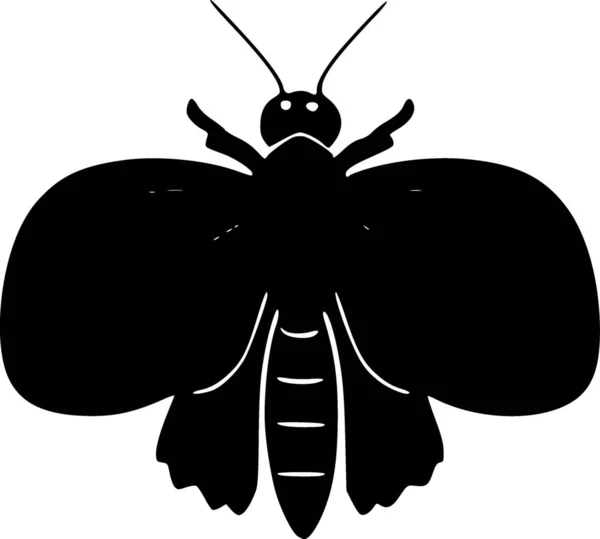 Illustration Noir Blanc Insecte — Photo