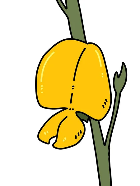 Kunst Farbe Sesbania Blume Cartoon — Stockfoto