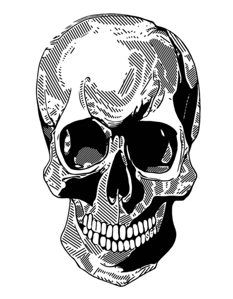 Crânio Com Uma Ilustração Preto Branco — Fotografia de Stock