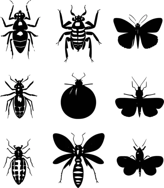 Sada Hmyzu Ilustrace — Stock fotografie