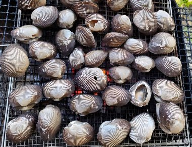 Taze deniz ürünlerini kapatın.