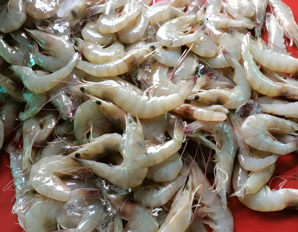 Seafood Segar Kios Pasar — Stok Foto
