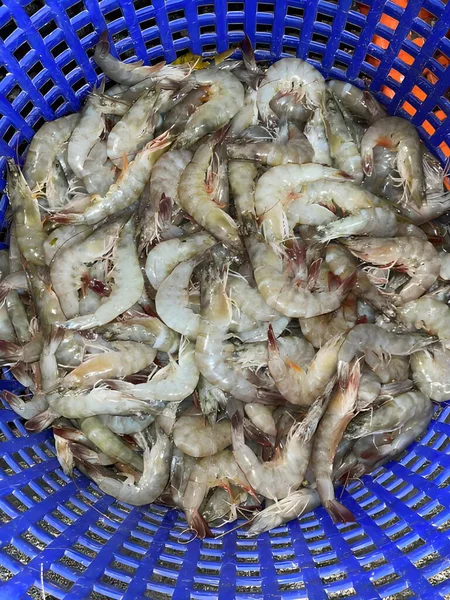 Fresh Shrimp Market — Stock Photo, Image