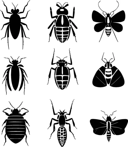 Böcek Sinek Sembolünün Gösterimi Web Için Böcek Koleksiyonu Element Depolama — Stok fotoğraf