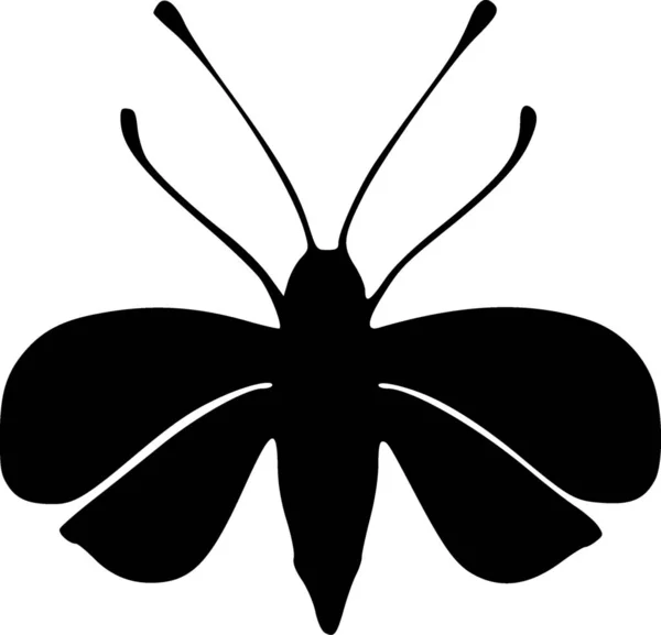 Значок Бабочки Белом Фоне — стоковое фото