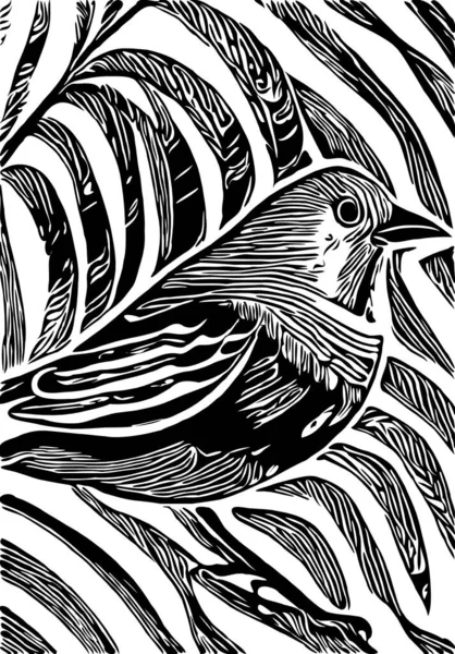 Illustratie Van Vogel Natuur — Stockfoto