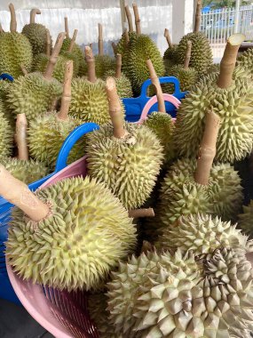 Durian meyvesi pazarda