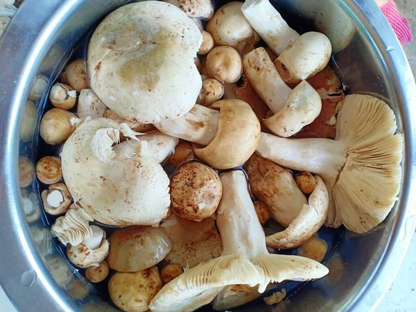 Close Mushrooms Cooking — Stock Photo, Image