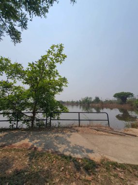 Tayland 'da güzel bir park manzarası