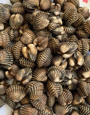 Mağazadaki taze deniz ürünleri pazarı.