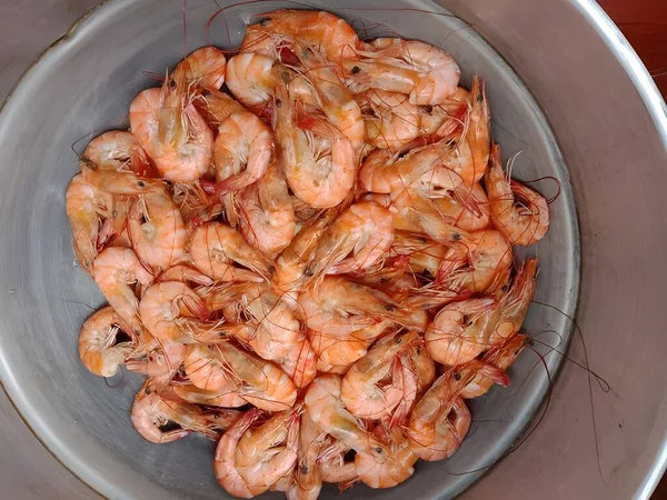 Fresh Shrimps Plate — Stock Photo, Image