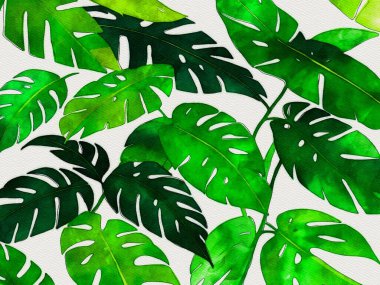 yeşil tropikal palmiye yaprakları tasarım için arkaplan, suluboya tarzı