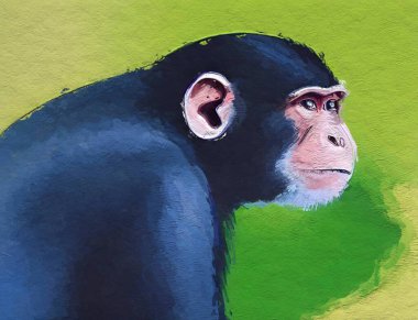 Güzel maymunun sanat rengi