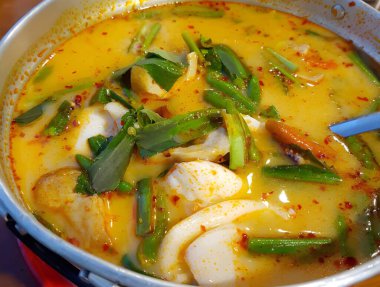 sebzeli tavuk çorbası.