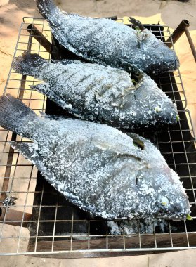 Taze tilapia balığı ızgarada
