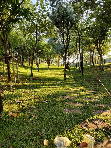 stock image beautiful view of the park at Chonburi Thailand