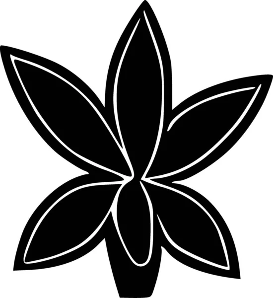 Чорно Біле Листя Рослини — стокове фото