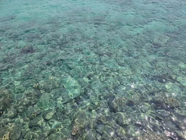 Escena Submarina Con Hermosos Peces Aguas Cristalinas Isla Tropical Océano — Foto de Stock