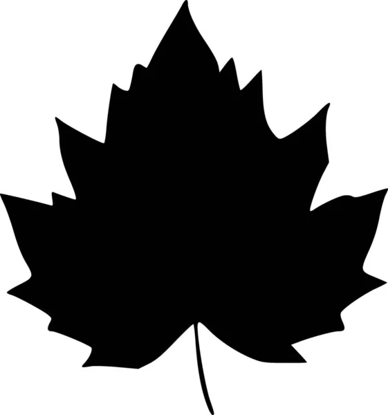 Maple Leaf Isolated White Background — Stock Photo, Image
