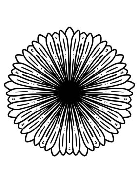 black and white flower isolated on a background.