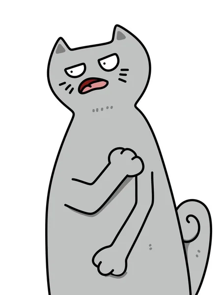 Schattig Kat Cartoon Witte Achtergrond — Stockfoto