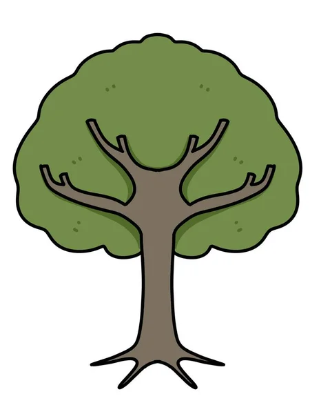 Árvore Dos Desenhos Animados Com Folhas Fundo Branco — Fotografia de Stock