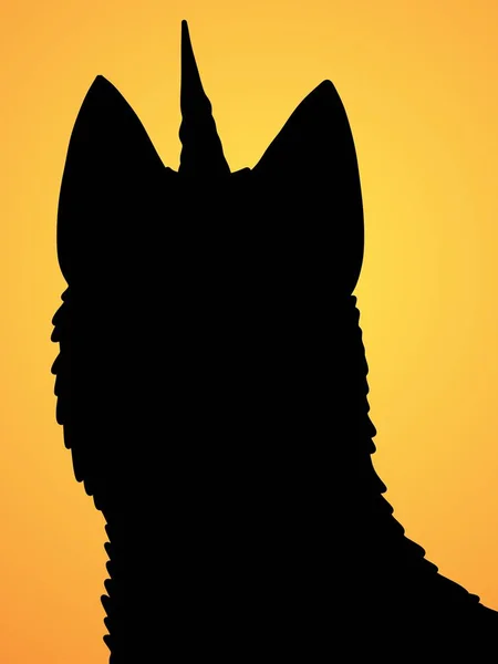 หมาป าบนพ นหล — ภาพถ่ายสต็อก