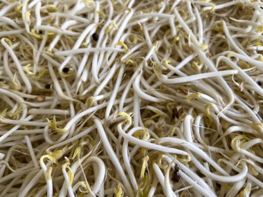 Fasulye filizi yığınına yakın.