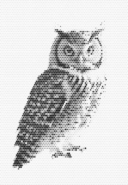 Black White Owl Background — Stock Photo, Image