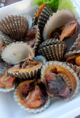 Beyaz arka planda taze deniz ürünleri, haşlanmış midye.