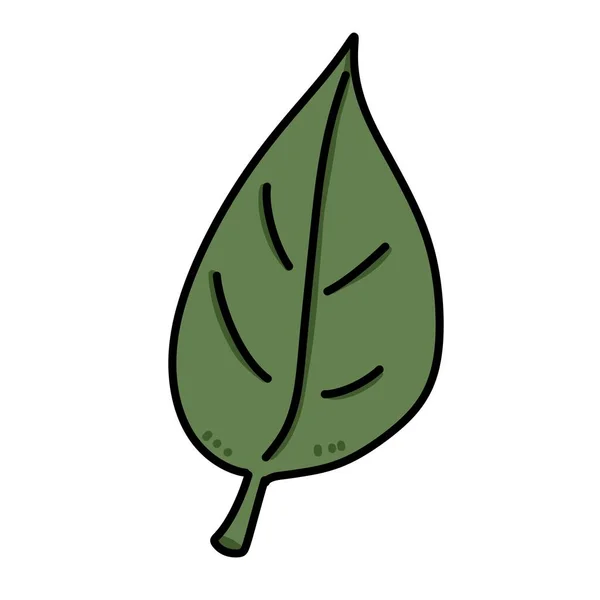 Ilustracja Zielonych Liści Kreskówki — Zdjęcie stockowe