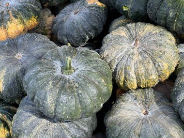 Markette balkabağını kapat.