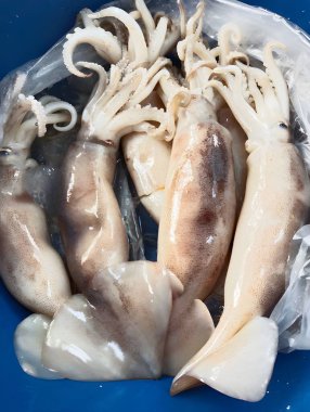 Piyasadaki çiğ kalamar.