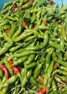 Yeşil biber. Baharatlı, sebzeli arkaplan