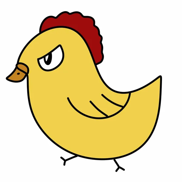 Kyckling Tecknad Vit Bakgrund — Stockfoto