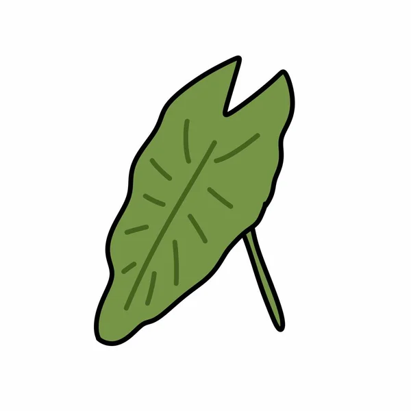 Folhas Verdes Doodle Isolado Fundo Branco — Fotografia de Stock