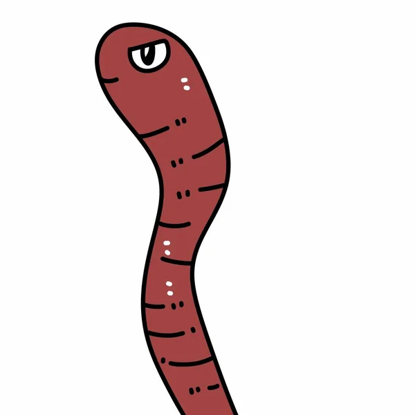 Earthworm Desenhos Animados Fundo Branco — Fotografia de Stock