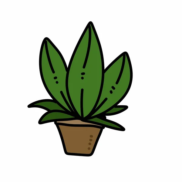 Φυτό Φυτό Κεραμική Απεικόνιση Γλάστρα — Φωτογραφία Αρχείου