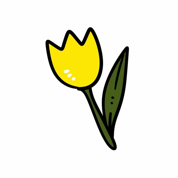 Desenho Animado Desenhado Mão Livre Uma Flor Tulipa — Fotografia de Stock