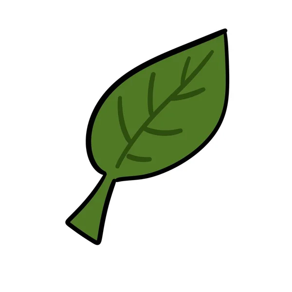 Blatt Natur Pflanze Isoliert Symbol — Stockfoto