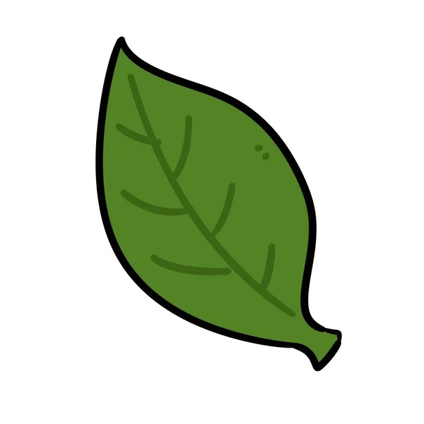 Roślina Liściasta Odizolowana Ikona — Zdjęcie stockowe