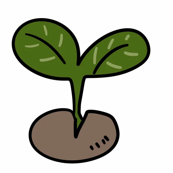 Kreslené Kreslené Čmáranice Rostliny — Stock fotografie