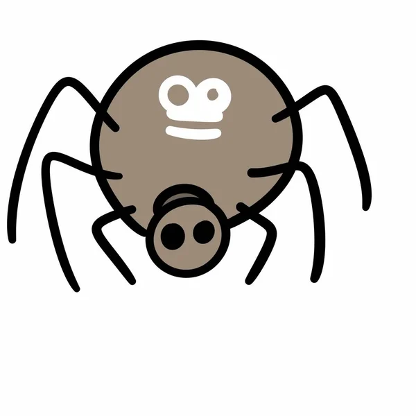かわいいクモのアイコン 手描きイラスト 白い背景に隔離され — ストック写真