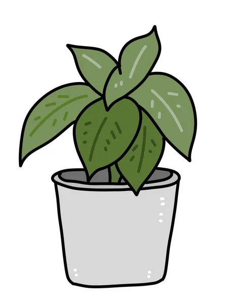 Schattig Plant Een Pot Cartoon — Stockfoto